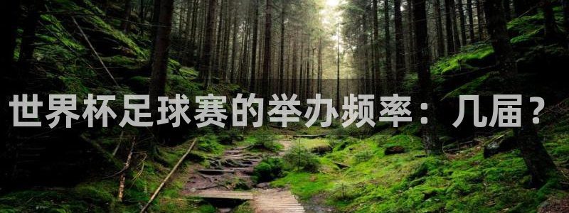 世界杯亚洲预选赛18强赛程:世界杯足球赛的举办频率:几届?