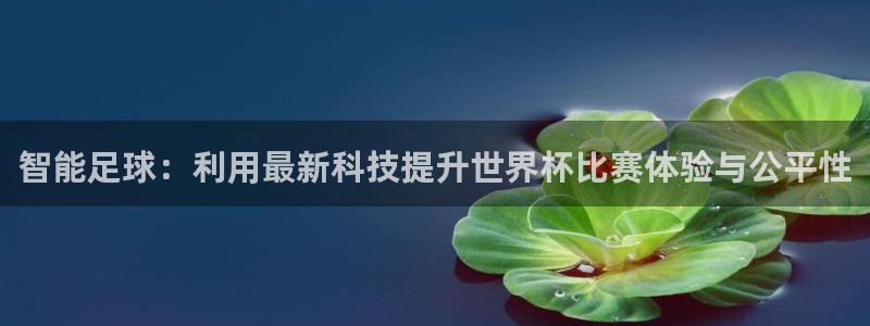 世界杯系列赛:智能足球:利用最新科技提升世界杯比赛体验与公平性