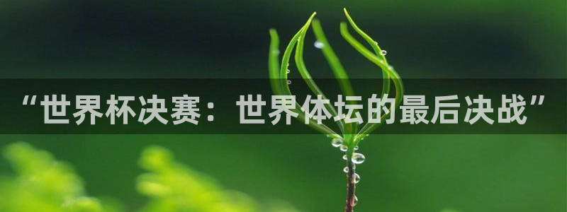足球世界杯2026年赛程时间表:“世界杯决赛:世界体坛的最后决战”