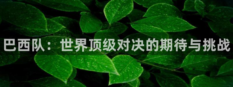 世界杯预选赛:巴西队:世界顶级对决的期待与挑战