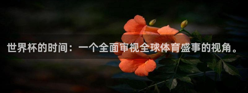 世界杯2026赛程:世界杯的时间:一个全面审视全球体育盛事的视角。