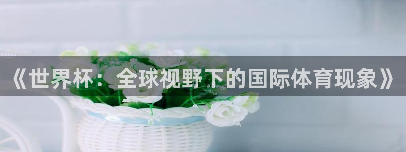 世界杯决赛直播:《世界杯:全球视野下的国际体育现象》