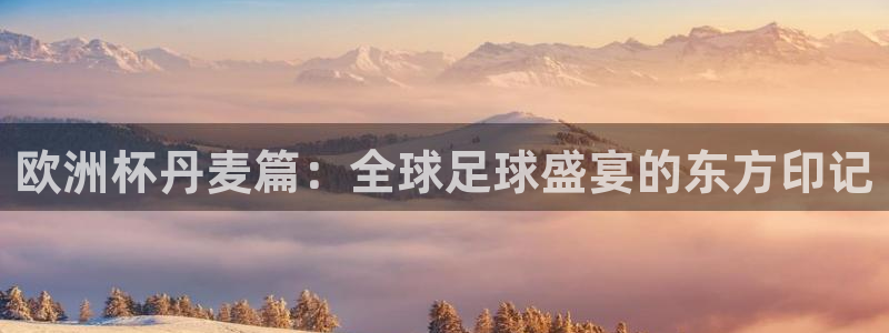 2026世界杯官网入口:欧洲杯丹麦篇:全球足球盛宴的东方印记