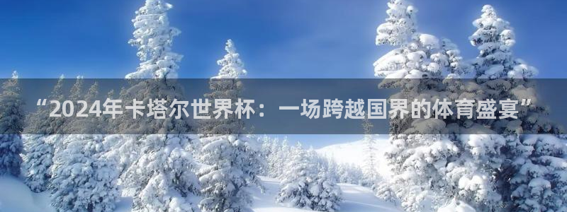 2026世界杯32强对阵图表:“2024年卡塔尔世界杯:一场跨越国界的体育盛宴”
