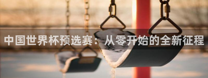 世界杯足球比赛:中国世界杯预选赛:从零开始的全新征程