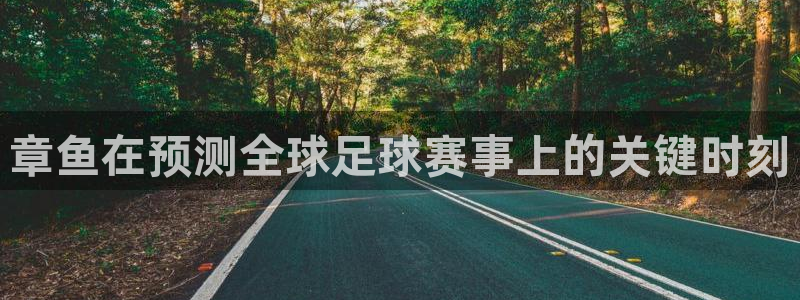 世界杯亚洲区预选赛积分榜:章鱼在预测全球足球赛事上的关键时刻