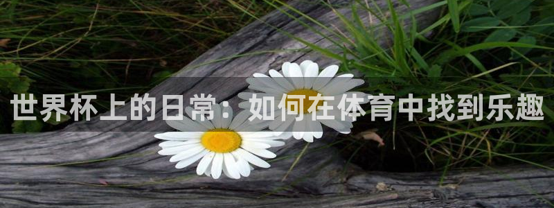 2006年世界杯:世界杯上的日常:如何在体育中找到乐趣